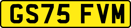 GS75FVM