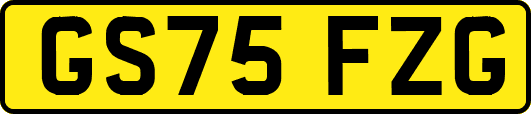 GS75FZG