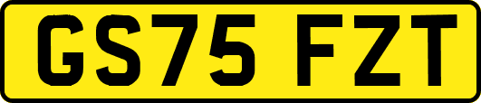 GS75FZT