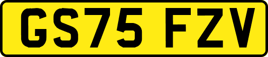 GS75FZV