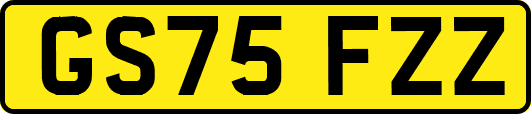 GS75FZZ