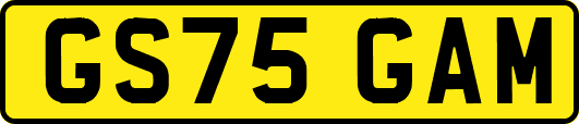 GS75GAM