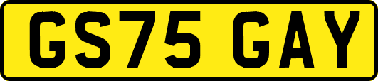 GS75GAY
