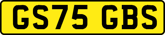 GS75GBS