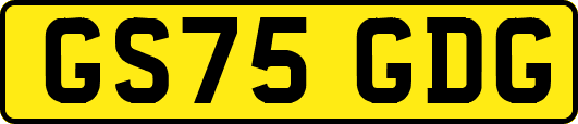 GS75GDG