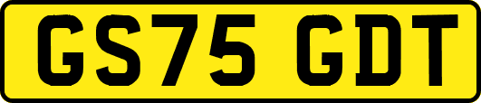 GS75GDT