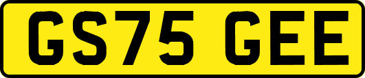 GS75GEE