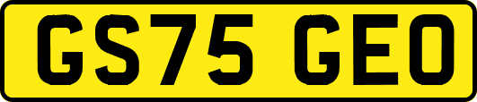 GS75GEO