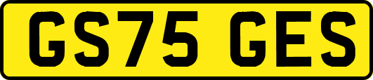 GS75GES