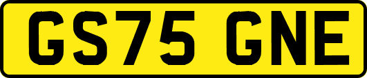 GS75GNE