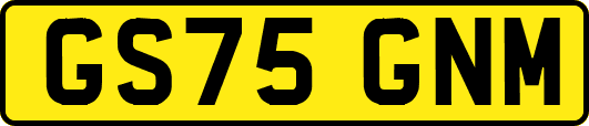 GS75GNM
