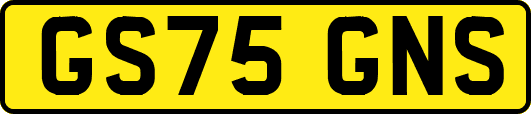 GS75GNS