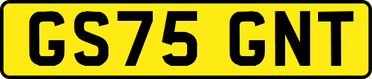 GS75GNT