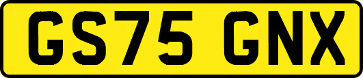 GS75GNX