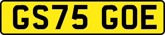 GS75GOE