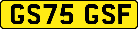GS75GSF
