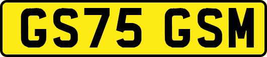 GS75GSM