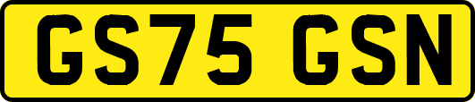 GS75GSN