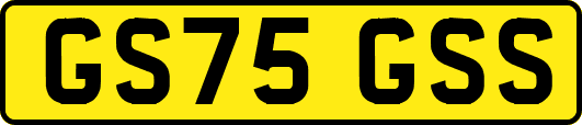 GS75GSS