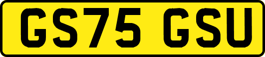 GS75GSU