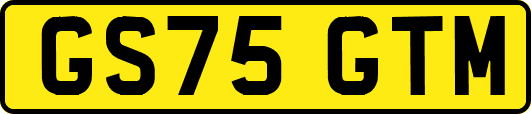 GS75GTM