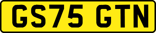 GS75GTN