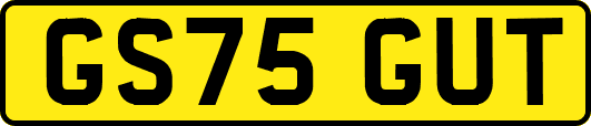 GS75GUT