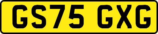 GS75GXG