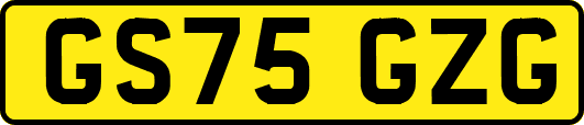 GS75GZG