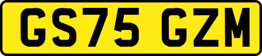 GS75GZM