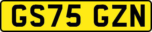 GS75GZN