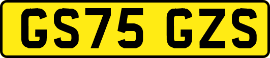 GS75GZS