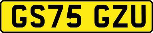 GS75GZU
