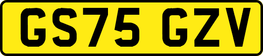 GS75GZV