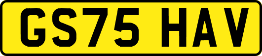 GS75HAV