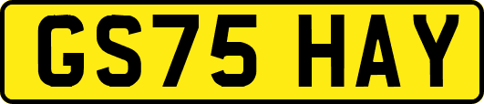GS75HAY
