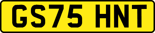 GS75HNT
