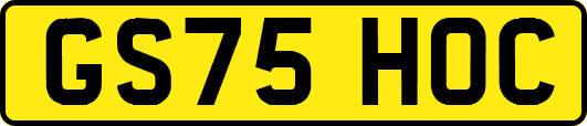 GS75HOC