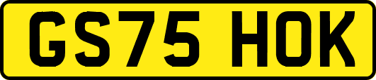 GS75HOK