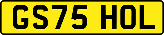 GS75HOL