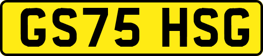 GS75HSG