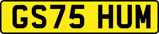 GS75HUM
