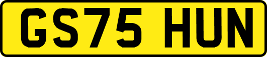 GS75HUN