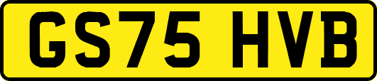 GS75HVB