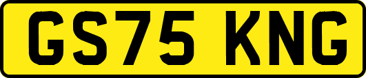 GS75KNG