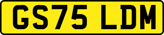 GS75LDM