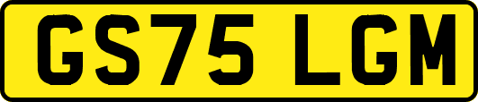 GS75LGM