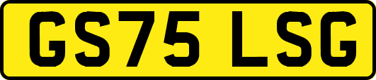 GS75LSG