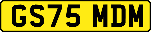 GS75MDM