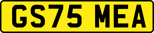 GS75MEA